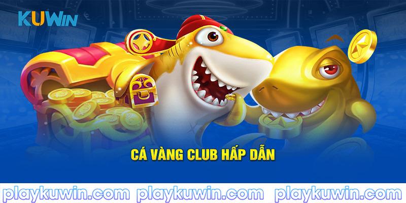 Cá vàng club hấp dẫn tại bắn cá kuwin