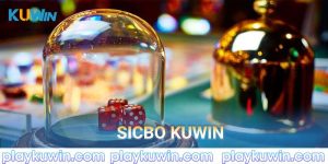 sicbo kuwin