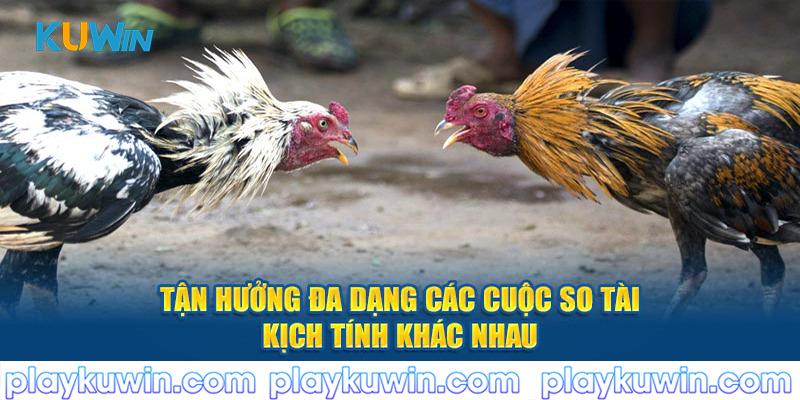 Tận hưởng đa dạng các cuộc so tài kịch tính khác nhau