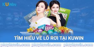 Tìm hiều về lô rơi tại kuwin